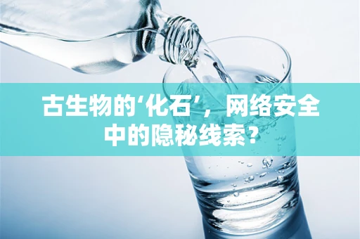 古生物的‘化石’，网络安全中的隐秘线索？