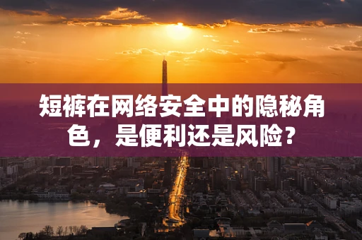 短裤在网络安全中的隐秘角色，是便利还是风险？