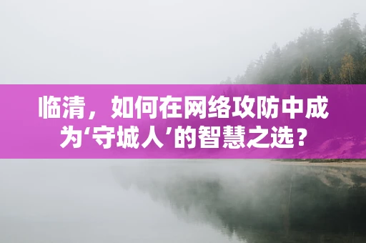 临清，如何在网络攻防中成为‘守城人’的智慧之选？