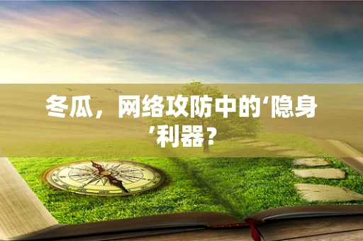 冬瓜，网络攻防中的‘隐身’利器？