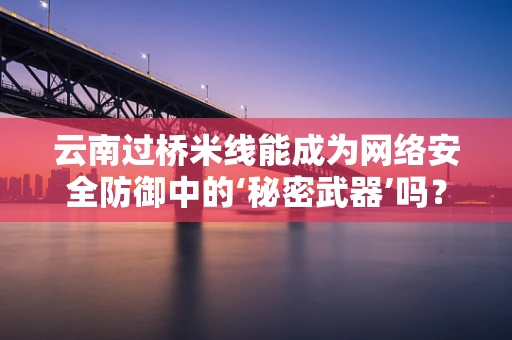 云南过桥米线能成为网络安全防御中的‘秘密武器’吗？