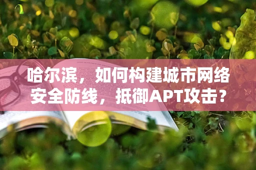 哈尔滨，如何构建城市网络安全防线，抵御APT攻击？