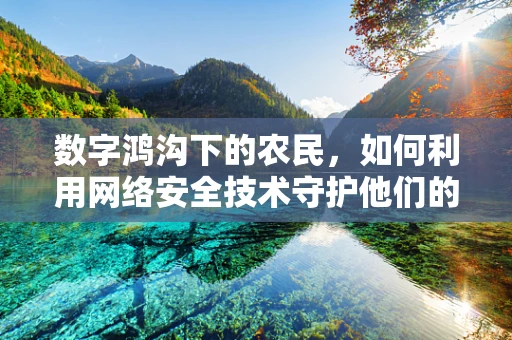 数字鸿沟下的农民，如何利用网络安全技术守护他们的‘数字田地’？